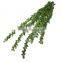 wholesalers outdoor artificial plants
