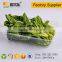 PET cheap blister disposable plastic fruit tray