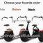 Citycoco adult big wheel fat tire scooter fat scooter big wheel scooter for outdoor