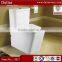 North America Washdown Toilet, One Piece Toilet Sanitary Ware Manufacturer,