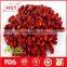 Wholesale red kidney beans with high quality