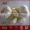 2016 new natural fresh garlic