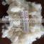 100% wool noils, 25-26 mic, natural white color