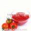 good quality Tomato paste in canned