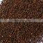 Chinese vanilla vegetable Red Perilla seeds growing