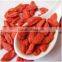 Chinese Goji Berries Dried Goji Berries for hot sale