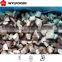 In Bulk Frozen Shiitake Cut Mushroom