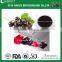 Spray-dried Black Currant Fruit Powder Black Currant Extract with anthocyanidins 25% 4;1,10:1 and 20:1