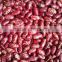 JSX excellent Chinese Purple speckled kidney beans