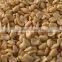 long type blanched peanuts 29/33 is the guarantee of health