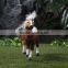 New Simulation War Horse Toy Unicorn Plastic Figurines