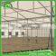 Multi-span Polycarbonate plastic sheet greenhouse for agriculture