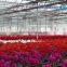Flower Growing Greenhouse