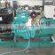 Diesel engine generator