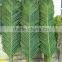 cheap hot sale foliage Banyan leaves artificial ficus leaves. green white gold leaves