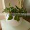 China manufacturer PE plastic led lighting flower pot
