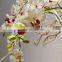 wholesale silk orchids artificial for sale china manufacturer wholesale