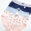 2017 new Cute young girls Soft underwear cotton cats students briefs