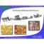 Snack Pellet Production Line 3D