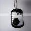 Custom Laser Engraving metal dog tag with ball chain
