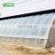 Single Tunnel Sunlight Greenhouse For Plant Growth For Roses