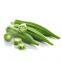 IQF Okras