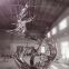 Customized Abstract Flowers Modern Art Stainless Steel Metal Sculpture Indoor 