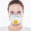 Amazon Dustproof Anti Bacteria White Japanese Dust 3 Ply Facemask