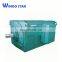 High Voltage 6kv y Series Three Phase Electric Ac Motor 130kw