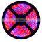 DC12V led strip grow light full spectrum 5M/roll  SMD5050 led grow light hydroponic strip