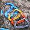 JRSGS Carabiner Clips for Camping, Hiking, Outdoor and Gym etc, Small Carabiners for Dog Leash and Harness 18KN  S7102S