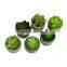 Artificial Bonsai Home Decoration Small Cheap Desktop Plastic Plant Artificial Succulent With Pulp Paper Pot