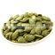 Low moq cheap price pumpkin seed for Thailand