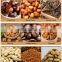 Chickpea Roaster Oven Sunflower Seeds Pumpkin Seeds Peanut Roasting Machine