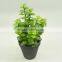 Plastic succulents plants artificial plants gift for indoor decor
