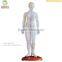 High Quality Medical Chinese acupuncture model 46cm