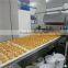 Guqiao Brand Muffin Cake Making Machine