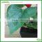 artificial anthurium plant potting bonsai