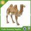 All kinds of resin animal statues for home decoration