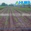 Used Greenhouse Farmland Drip Irrigation Systems