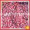 Chinese Organic Iqf Wild Lingonberry