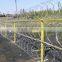 Concertina Razor Wire/Concertina Wire/Razor barbed wire