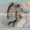 own 3d floor art images stickers