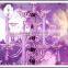 wedding decoration candle/flower holder
