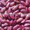 Speckled Kidney Beans