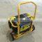 BISON(CHINA) Gasoline Gas Power Generator