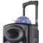 15" 10"75dB Active Woofer Plastic Speaker with bluetooth ball light