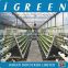 Economical NFT hydroponic lettuce plastic film greenhouse