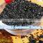 Best Quality Coconut Shell activated carbon For Refining Gold