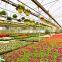 6mm Polycarbonate Hollow Sheet for Green House Construction